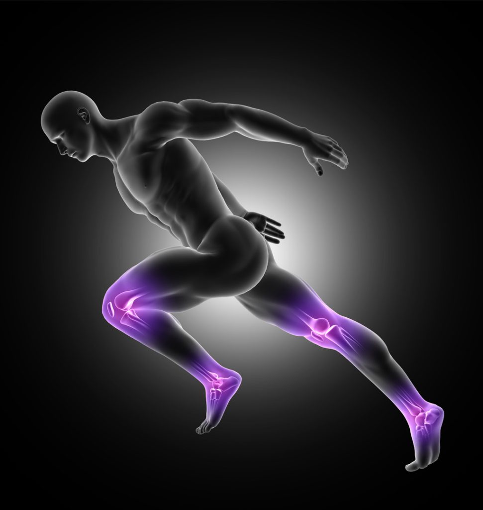 Supports Cartilage Health